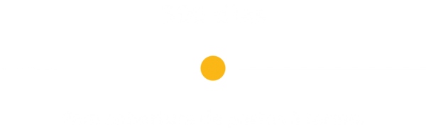 300dias